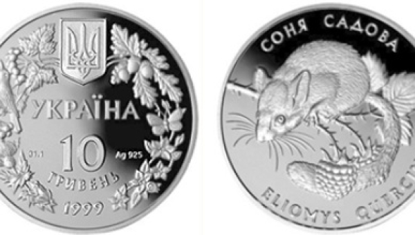 Соня садова (c)